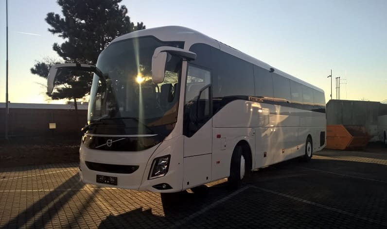 Apulia: Bus hire in Bari in Bari and Italy
